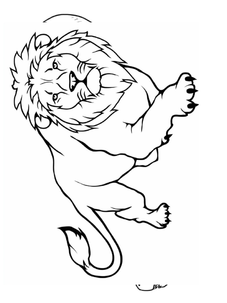 Animales de La Selva | PDF