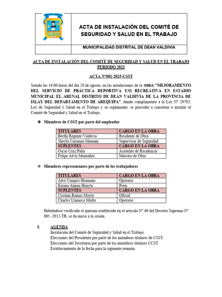 Acta de Instalación Del CSST | Descargar gratis PDF | Gobierno