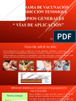 Vias de Aplicación