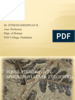 Plesiomorphy and Symplesiomorphy | PDF | Biological Classification ...