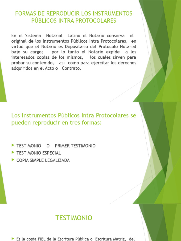 Testimonio o Primer Testimonio PDF