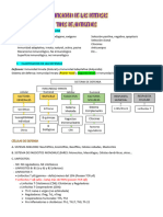 Clasificacion de Las Defensas