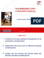 La Jurisdiccion Constitucional