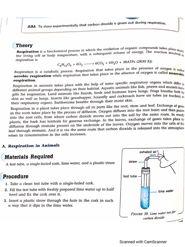 Biology Lab Manual Term 1 | PDF