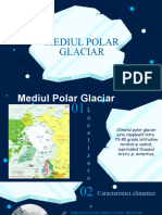Mediul Polar Glaciar-1