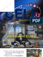 Cell Slides