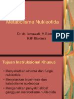 Metabolisme NUKLEOTIDA