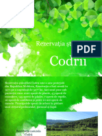 Codrii