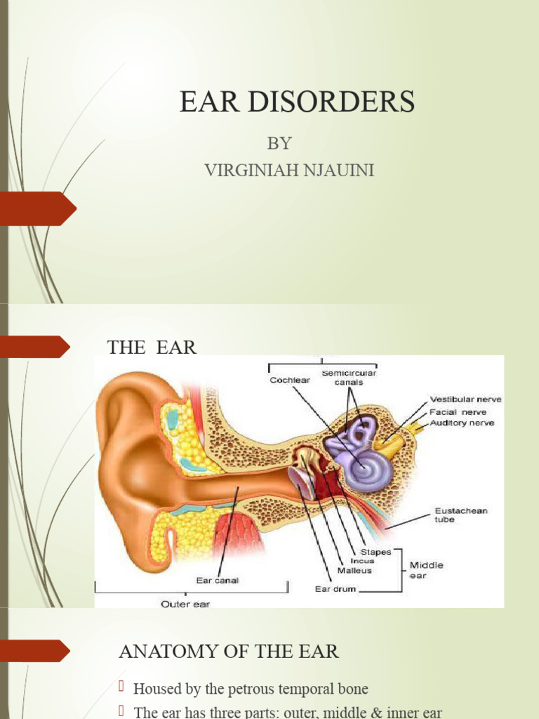 Drugs and Substance Abuse PDF Ear Medical Specialties
