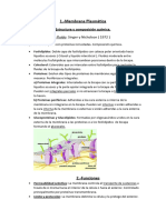 Membrana Plasmática. Transporte A Través de La Membrana. Uniones de Membrana