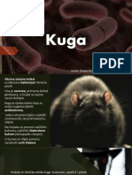 Kuga Prezentacija