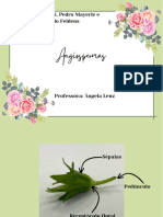 Card Angiospermas