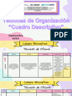 Cuadro Desescriptivo Tècnicas de Organizaciòn