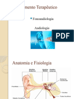 Alinhamento Terapêutico: Fonoaudiologia Audiologia