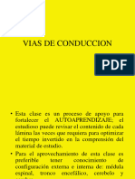 Vias Descendentes Neuroanatomia Neuro0305