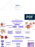 Fisiopatologia de La Insuficiencia Renal Cronica 275690 Downloable 1165632