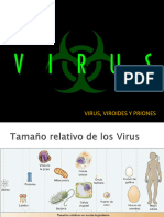 Virus