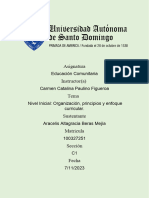 Aracelis Beras Mejia - Resumen 3 Nivel Inicial Organizacion