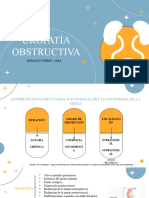 Uropatía Obstructiva