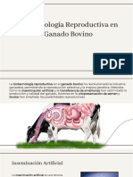Wepik Avances y Aplicaciones de La Biotecnologia Reproductiva en Ganado Bovino 20231116204225jnDt