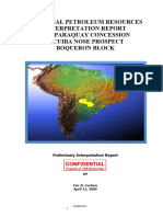 2009 Picuiba Nose 1500 M Well Proposal