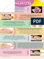 Mecanismos Del Trabajo de Parto