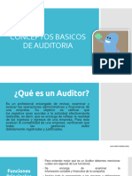 Qué Es Un Auditor