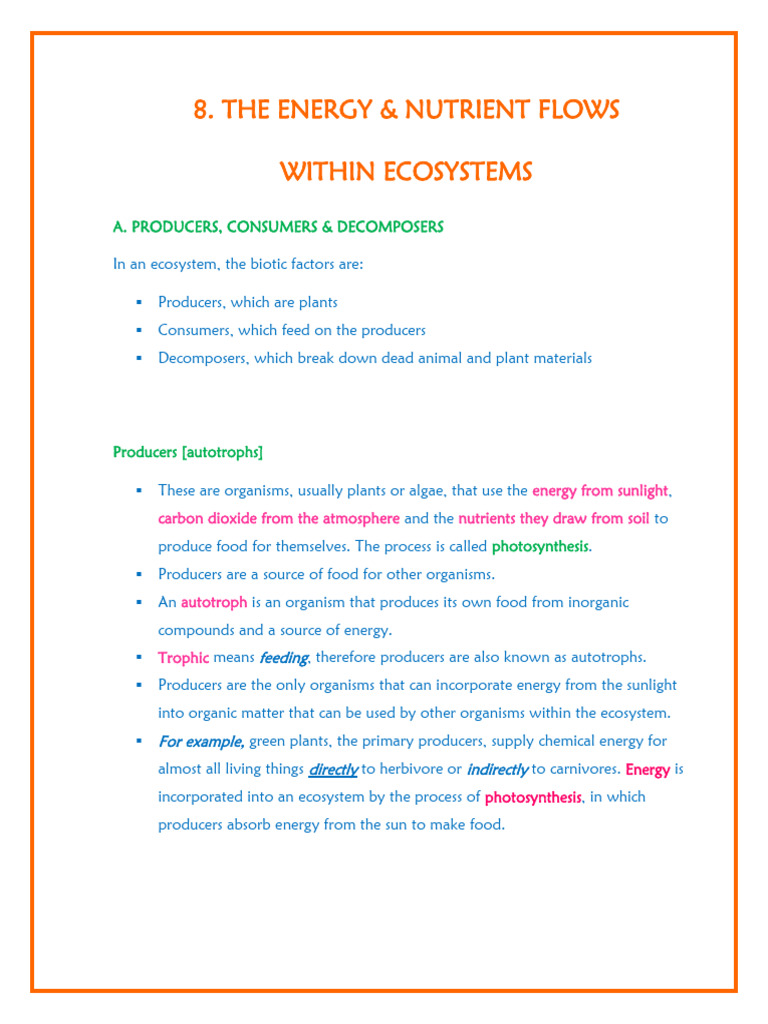 Energy & Nutrients Flows Within Ecosystems PDF Food  Ecosystem