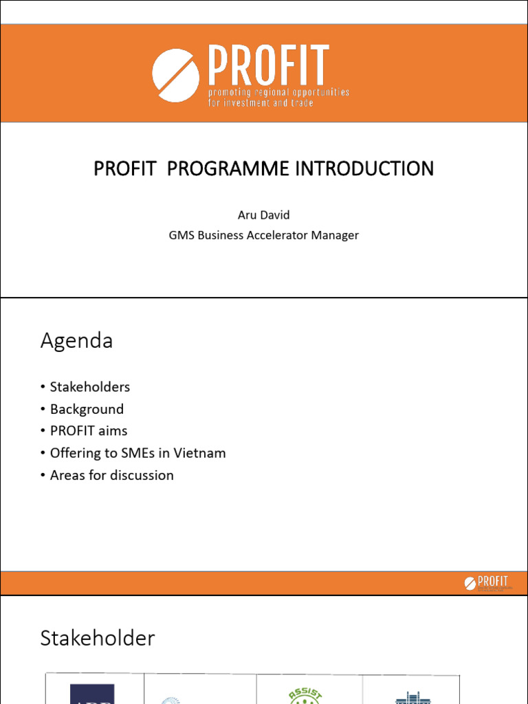 PROFIT Programme for SMEs in Vietnam | PDF | Economies