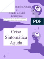 Apresentação - Crise Sintomática Aguda e Estado de Mal Epiléptico