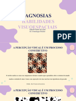 Agnosias-Funções Visuoperceptivas