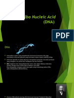 Deoxyribo Nucleic Acid (DNA)