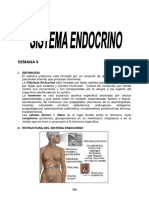 SEMANA 8 - Sistema Endocrino