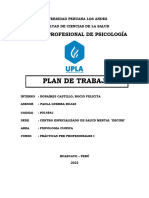 Anexo 005 PLAN DE TRABAJO