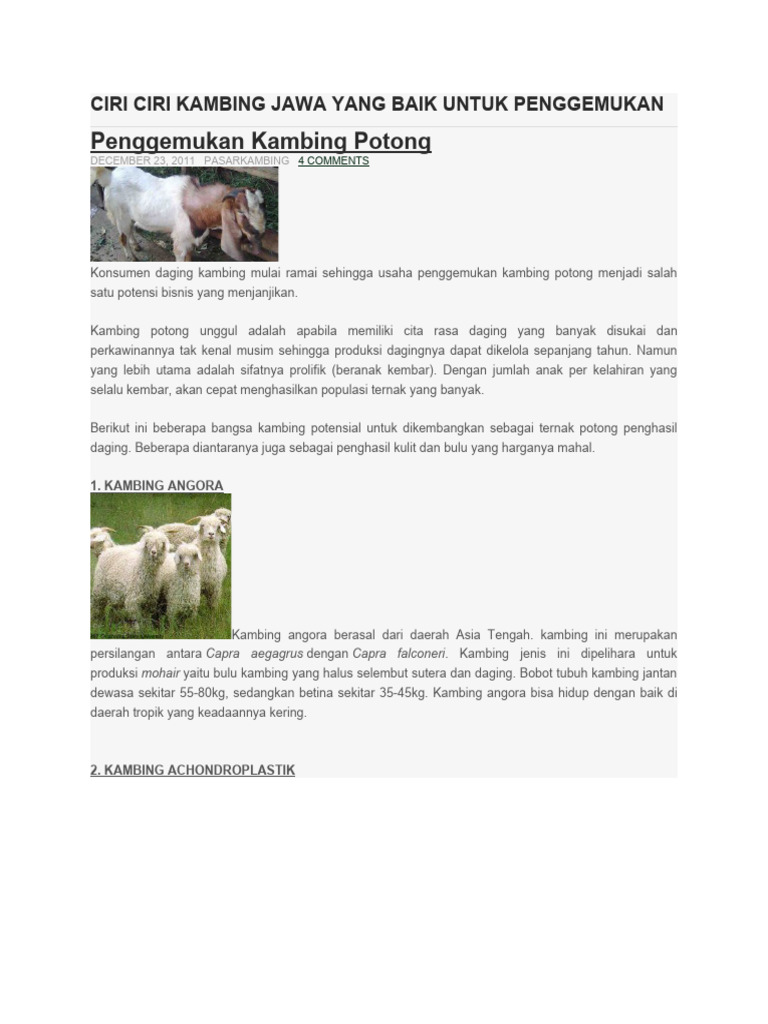 Ciri Ciri Kambing Jawa Yang Baik Untuk Penggemukan | PDF | Memasak ...