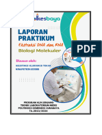 Kelompok 1 - Laporan Praktikum Biologi Loekuler - Agustinus Klarianus Tokan