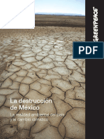 3-La Destruccion Mexico GREENPEACE