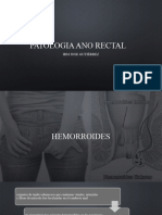 Patologia Anorectal - Hemorroides, Abscesos, Fistulas y Fisura