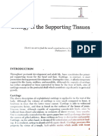 Biology of the Supporting Tissues
