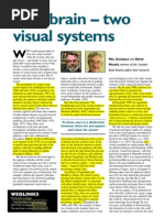 Download M Goodale D Milner One Brain--Two Visual Systems by teodicea SN68604443 doc pdf
