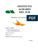 Monografia Aji Amarillo Final