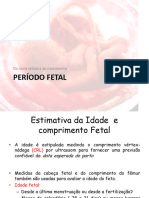 Periodo Fetal