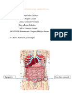 Topografia Abdominal