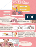 Infografía Matrona Parto Medicina Ilustrado Rosa