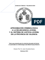 Aproximación Criminológica A La Delincuencia Juvenil Y Al Sistema de Justicia Juvenil en La Provincia de Valencia