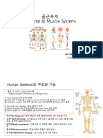 골근육계의 구조와 기능.