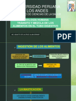 Fisiologia Tránsito y Mezcla - Clase II