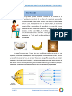 3.2 Parábola: Introducción