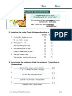 Bricks Reading 170 Nonfiction - L3 - Grammar Sheet