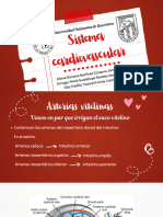 Sistema Cardiovascular - Embriología Equipo 1